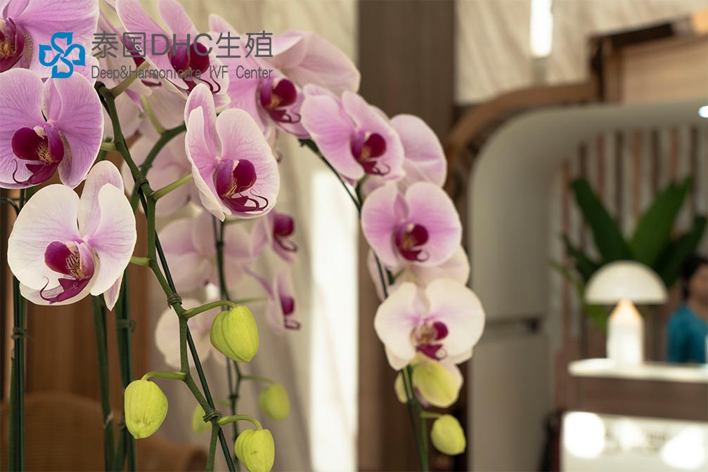 常德試管和省婦幼試管哪個好？全面對比分析