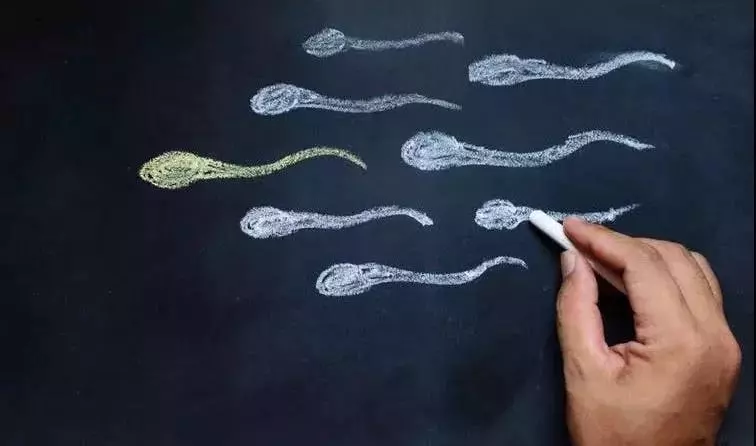 畫的小蝌蚪 畫的小蝌蚪