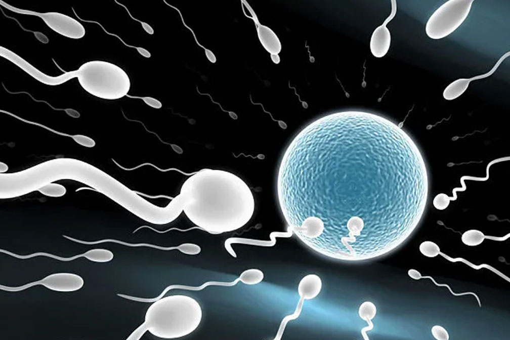 哪個國家試管費用性價比最高呢？