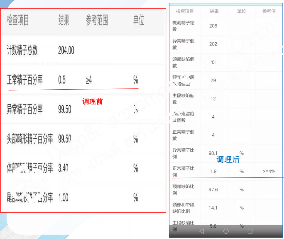 助孕寶4 助孕寶4