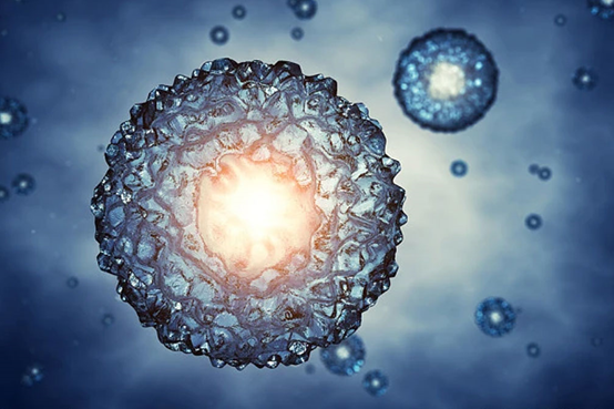 維生素D對(duì)泰國(guó)試管嬰兒的重要性！