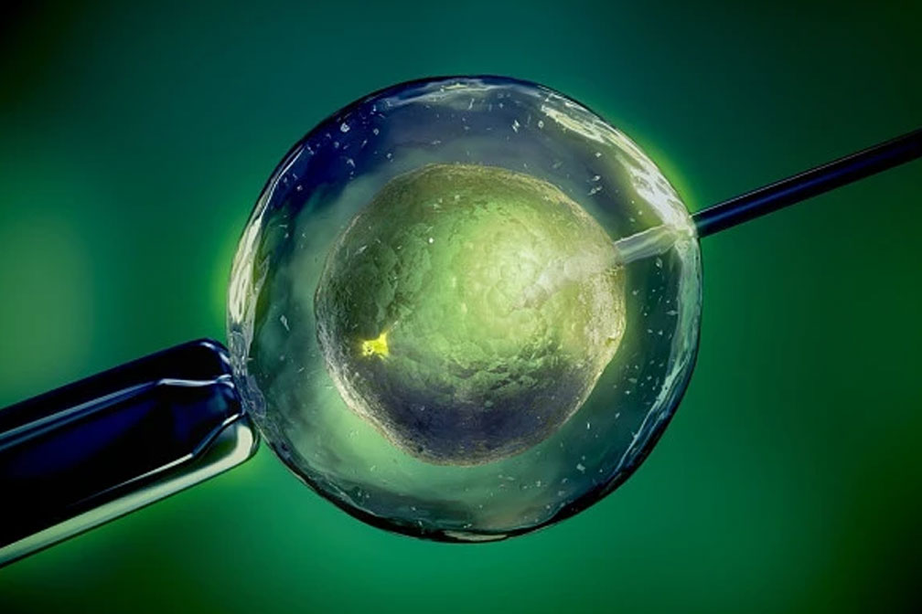 輸卵管堵塞要不要做試管嬰兒由什么決定的呢？