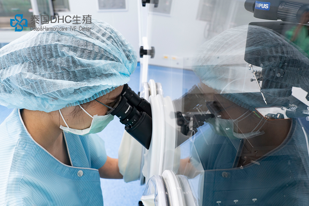 矢量智能對象 拷貝 14