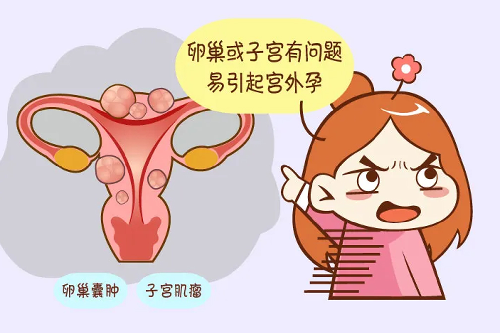 分析高齡備孕不易之做試管嬰兒如何保障好孕優(yōu)生率？