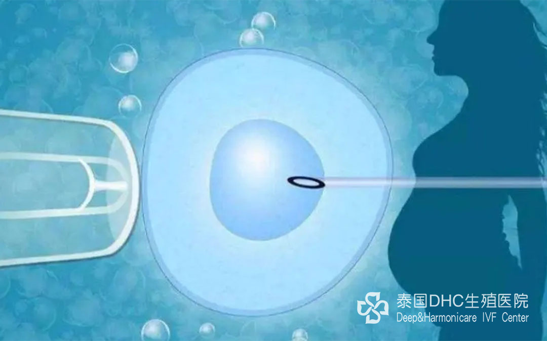 泰國(guó)DHC：泰國(guó)試管嬰兒生育攻略，流程、費(fèi)用、成功率解析