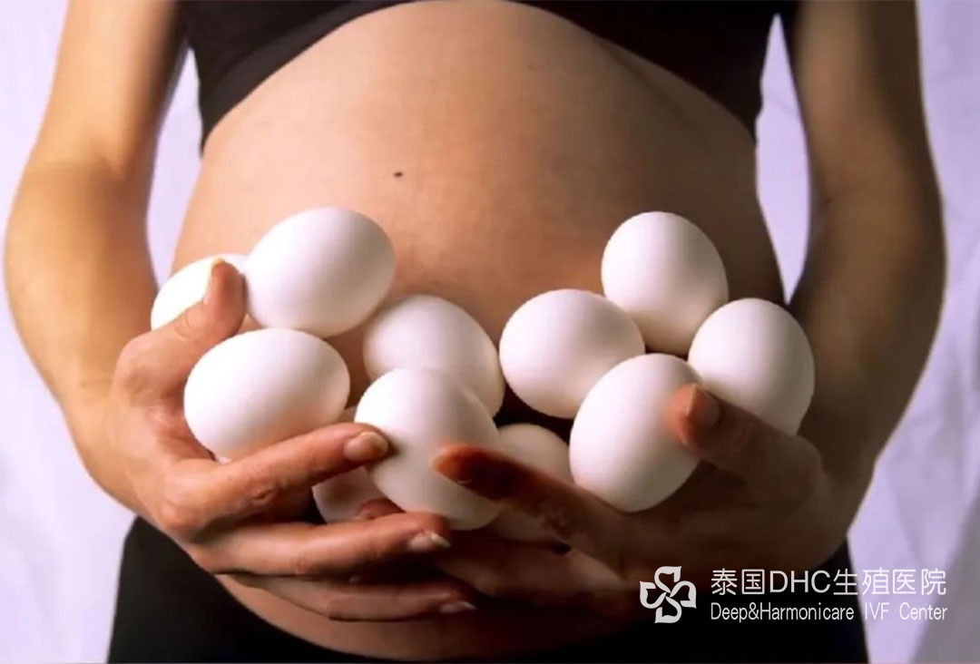 配圖 (18) 配圖 (18)