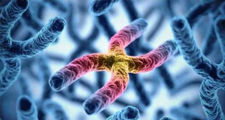 5cd95b5f20f4ab56f0e81d3b0f603b37 5cd95b5f20f4ab56f0e81d3b0f603b37