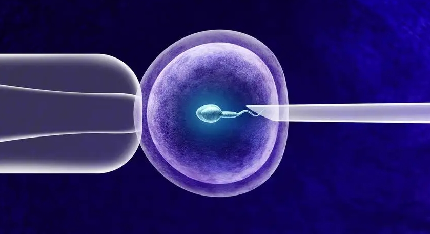試管嬰兒一次可以移植幾枚胚胎？試管嬰兒一次移植幾個胚胎合適