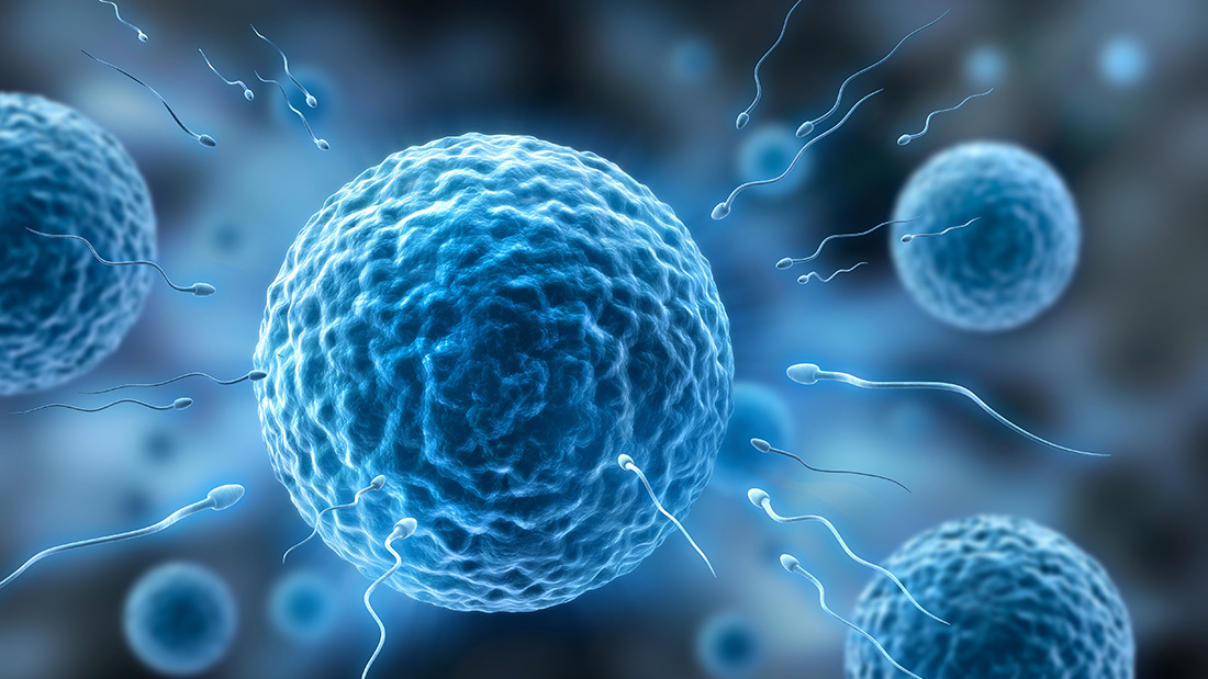 試管嬰兒能否避免基因缺陷？試管基因檢測的作用和意義