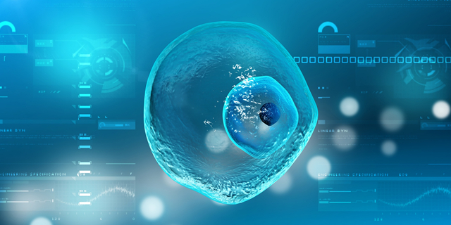 長(zhǎng)方案還是短方案好？試管嬰兒長(zhǎng)方案和短方案的優(yōu)缺點(diǎn)