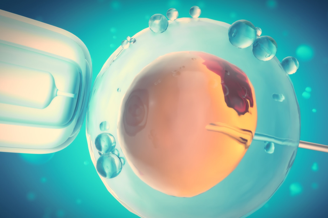 試管嬰兒技術(shù) 試管嬰兒技術(shù)