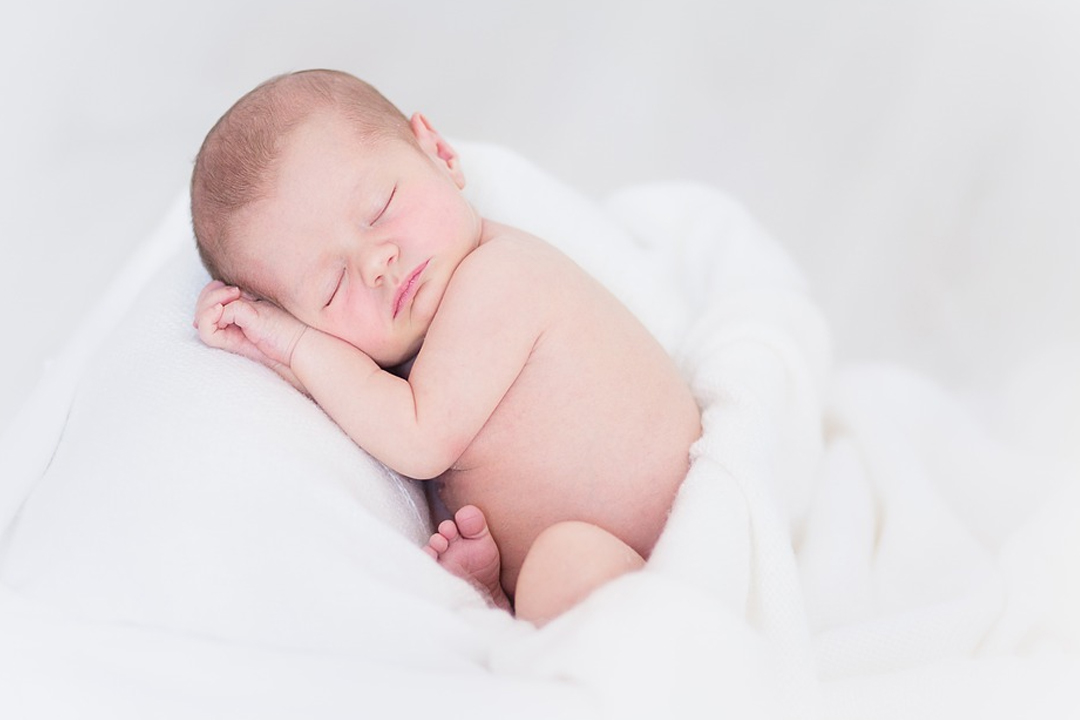 睡著的試管寶寶 睡著的試管寶寶