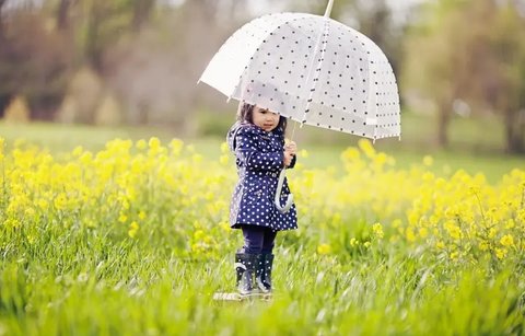 微信截圖_20240124162212_480x320 微信截圖_20240124162212_480x320