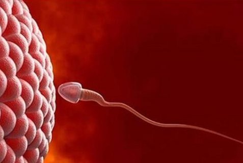 無精癥能不能做試管嬰兒？無精癥怎么做試管嬰兒？