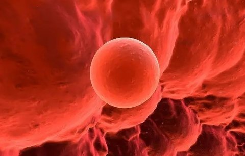 提高試管著床的秘訣！試管著床7個(gè)小妙招