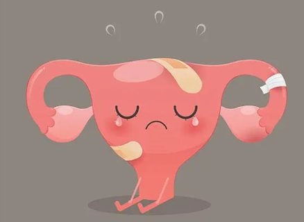 卵巢早衰吃什么可以補回來？卵巢早衰必吃的食物