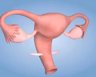 卵巢早衰的現(xiàn)象有哪些？卵巢早衰的癥狀和后果