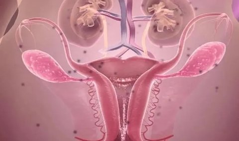 卵巢早衰可逆轉嗎能治好嗎？卵巢早衰的可逆性與治療