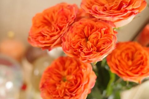 卵巢囊腫是什么原因引起的？卵巢囊腫出現(xiàn)的原因