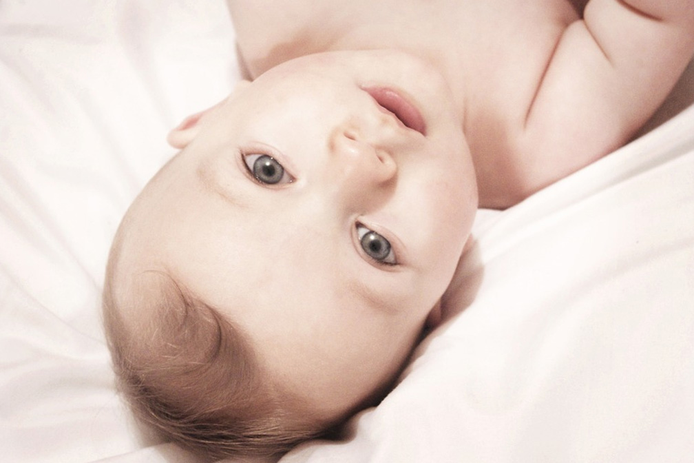 試管寶寶 試管寶寶