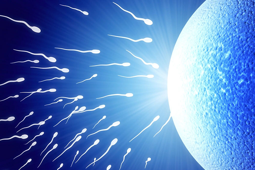 男人精少是什么癥狀表現(xiàn)？少精癥的癥狀表現(xiàn)