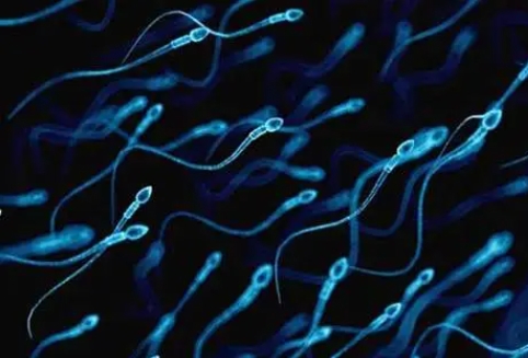 精子畸形率高能做試管嬰兒嗎？畸精癥做試管成功率