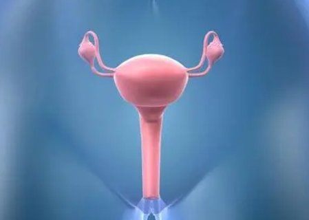 子宮下垂能不能懷孕？子宮下垂對(duì)懷孕的影響