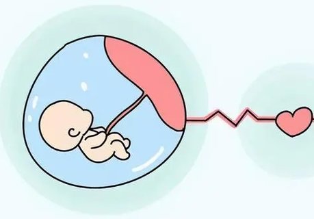 黃體期同房會(huì)不會(huì)懷孕？黃體期的懷孕機(jī)率