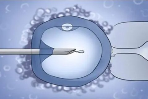 身體不好的人做試管有影響嗎？體質(zhì)差對(duì)做試管的影響