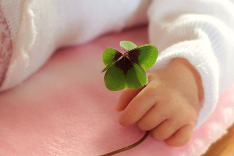 輸卵管堵塞無法疏通怎么辦？面對難題的專業(yè)建議