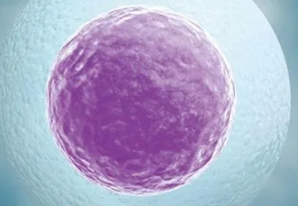 怎么解決卵泡發(fā)育不好的問題？解決卵泡發(fā)育不好的辦法