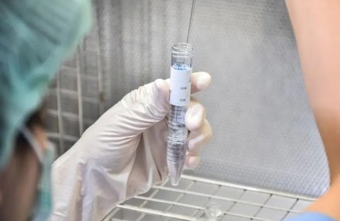 去泰國做試管男方要去幾次？詳解泰國試管嬰兒流程