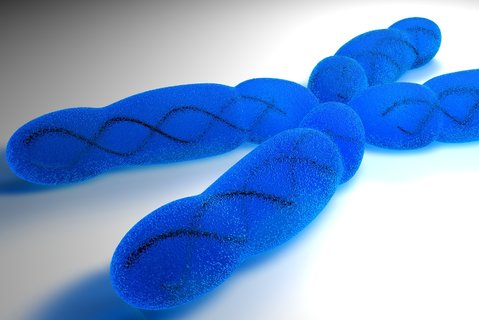 夫妻染色體有問題可以做試管嬰兒嗎？