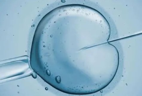 試管嬰兒需要在女性肚子里面嗎？試管嬰兒相關(guān)問(wèn)題