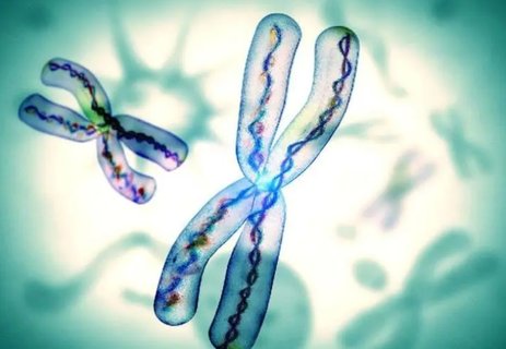 三代試管染色體篩查準(zhǔn)確率高嗎？高準(zhǔn)確率助力優(yōu)生優(yōu)育