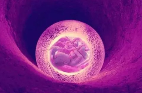 試管取了6個(gè)卵泡成功率大嗎？六個(gè)卵泡的試管成功率