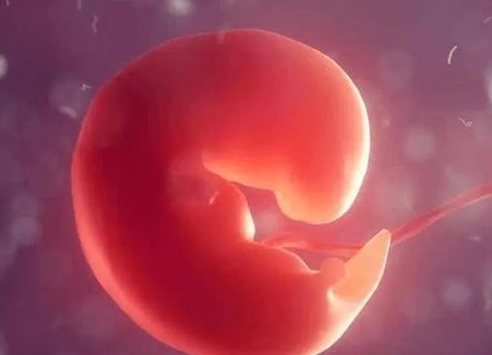 以多囊做試管一般要多久完成？多囊試管嬰兒的全部流程