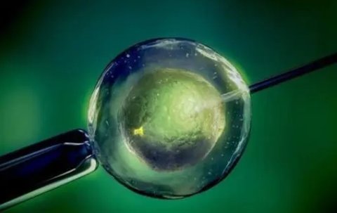 試管移植月經(jīng)干凈多少天可以移植？