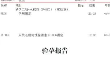 驗孕報告 驗孕報告