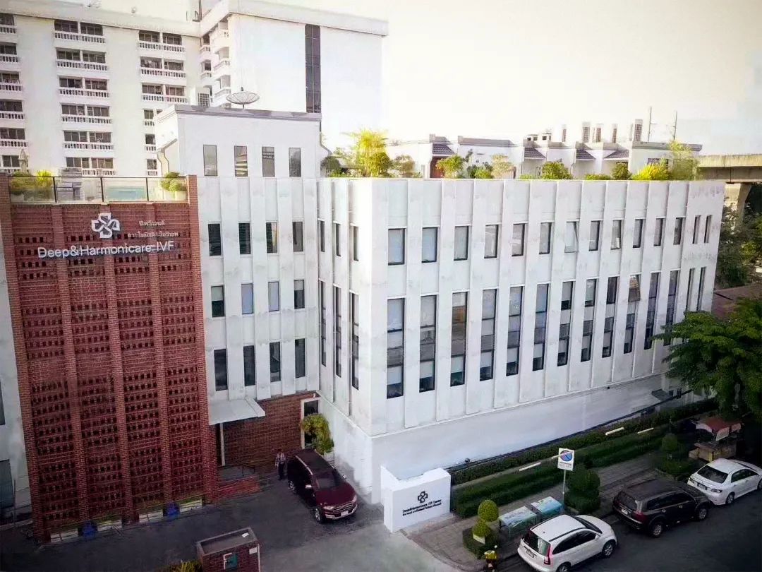 醫(yī)院 醫(yī)院