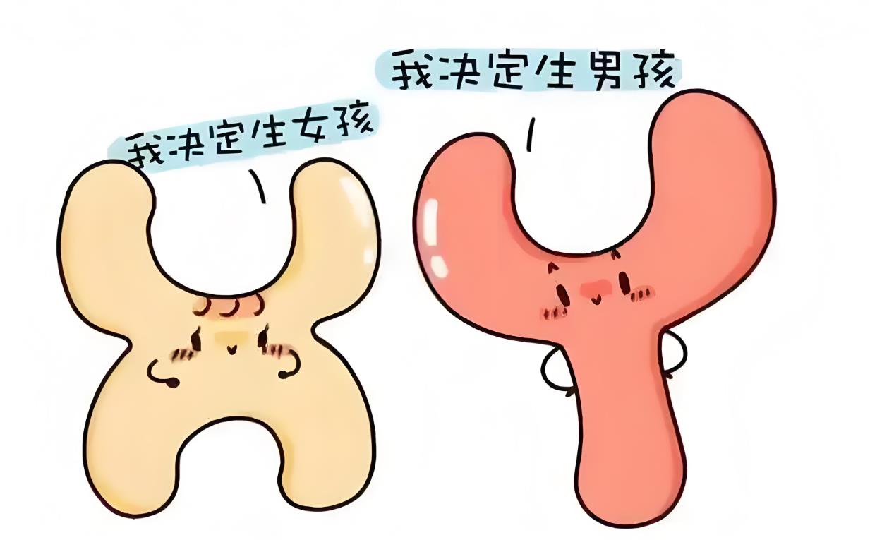 西安試管包生孩孩的費(fèi)用是多少錢,西安包生男孩價(jià)格介紹