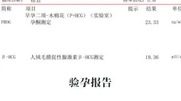 驗(yàn)孕報(bào)告 驗(yàn)孕報(bào)告