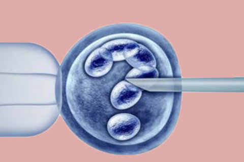 備孕期間怎樣才能容易懷孕？迎接好孕時(shí)刻
