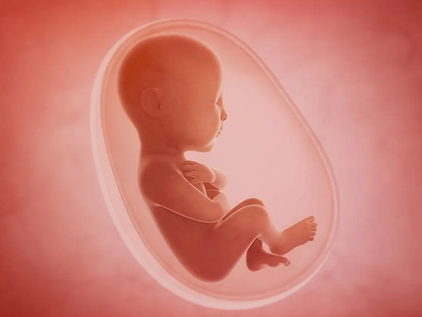 想做三代試管，準(zhǔn)備15萬夠嗎？一文給你講清楚