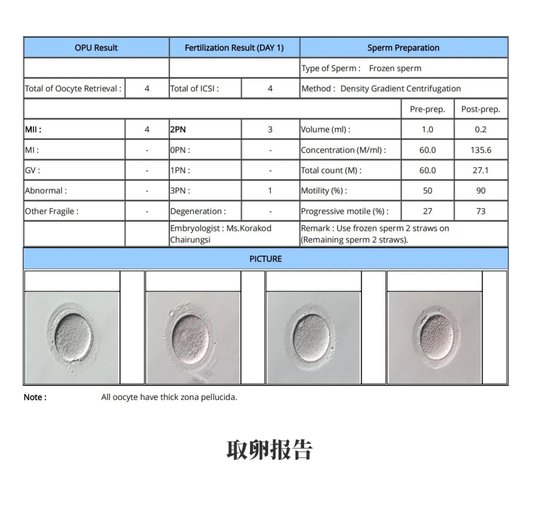 取卵報告 取卵報告