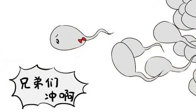 精子DNA碎片率（DFI）高怎么辦？科學備孕與泰國DHC生殖解決方案