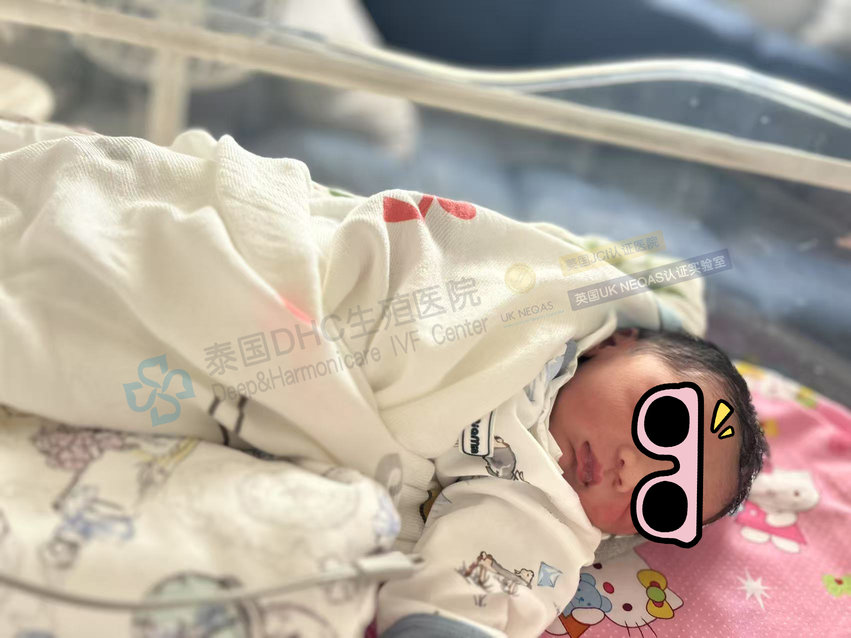 泰國(guó)DHC每日好孕故事0516