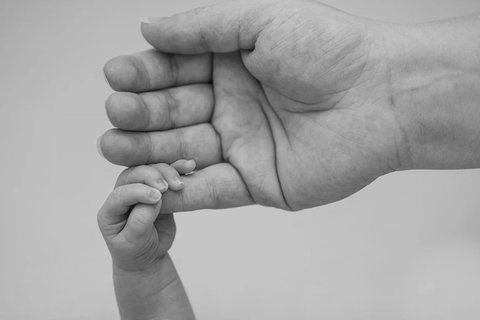 超越飲食：提升精子質(zhì)量的營(yíng)養(yǎng)補(bǔ)充劑科學(xué)指南